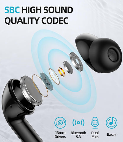 SM300 Wireless Earbuds Dual Mic Black
